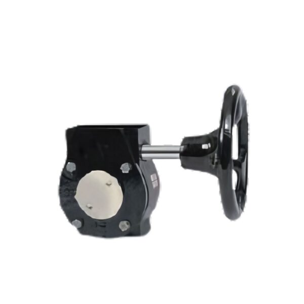 Türkoğlu Dişli Kutusu Redüktör 30,1 / 22x22