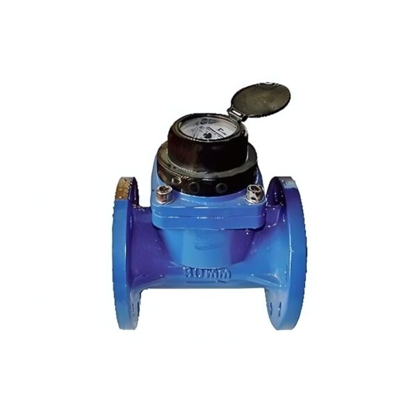 Türkoğlu Woltman Tarımsal Su Sayacı (R25) DN 100