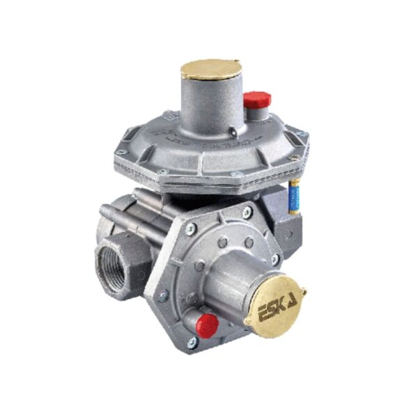 Eska S300 Kutu Seti 1,5-4 Bar DN50 Dişli Tip-1