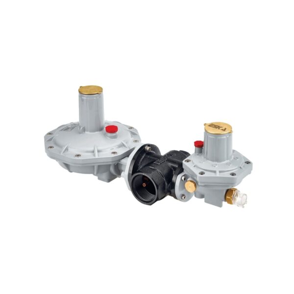 Eska Emniyet Kapatmalı Servis Regülatörü PN4   ERG-SE 15