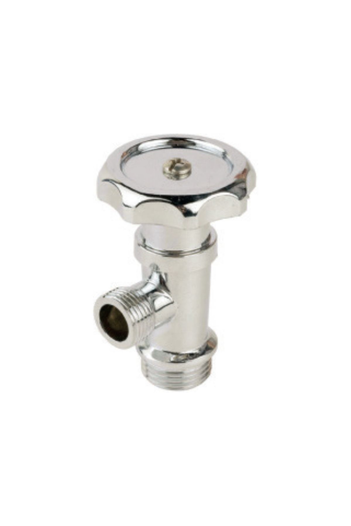 Adasan Taharat Musluğu Kromlu